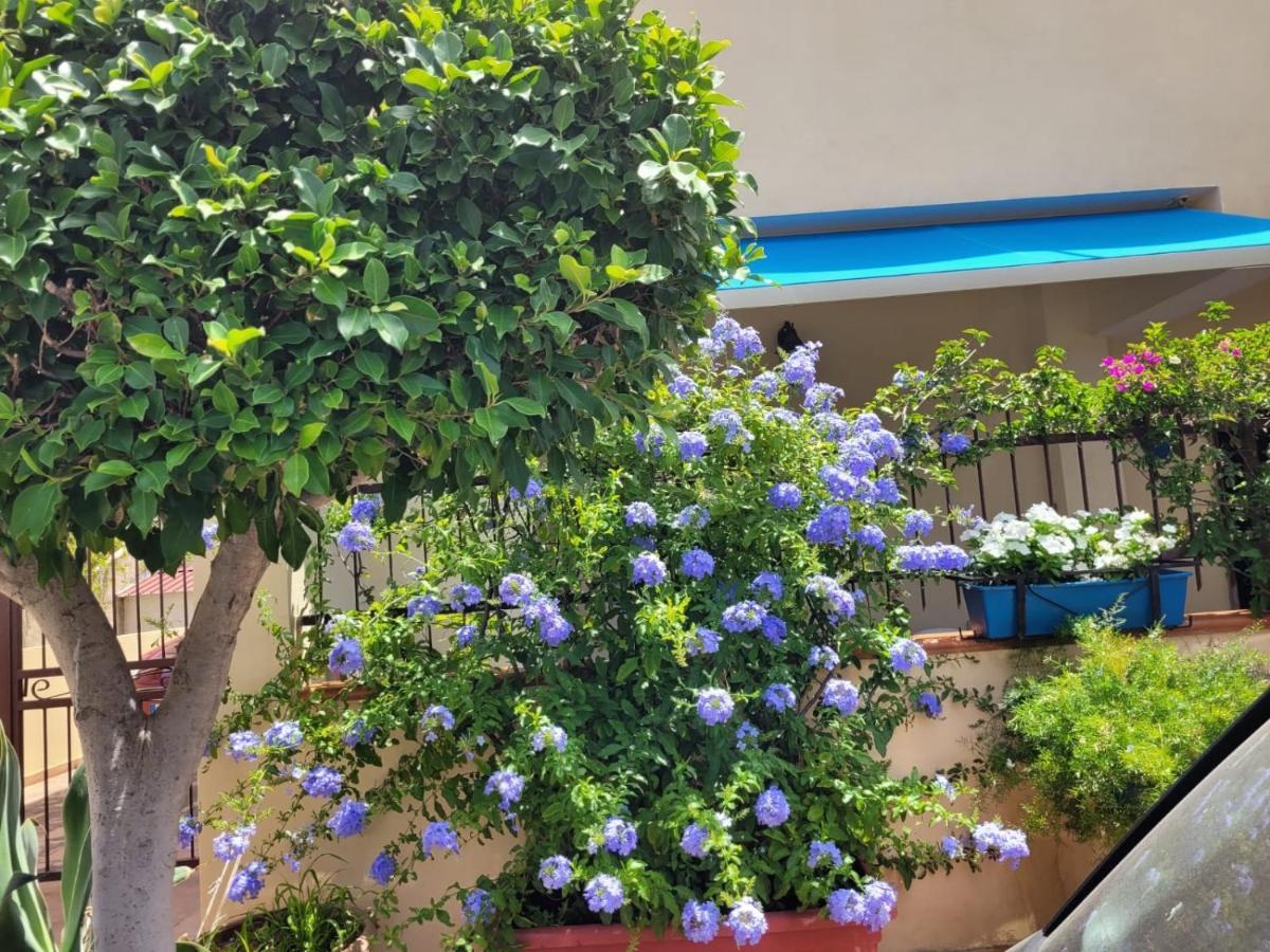 My Little House - Appartamento Con Patio E Parcheggio Privato A 5 Minuti Dalla Spiaggia E Dal Centro Тропеа Екстериор снимка