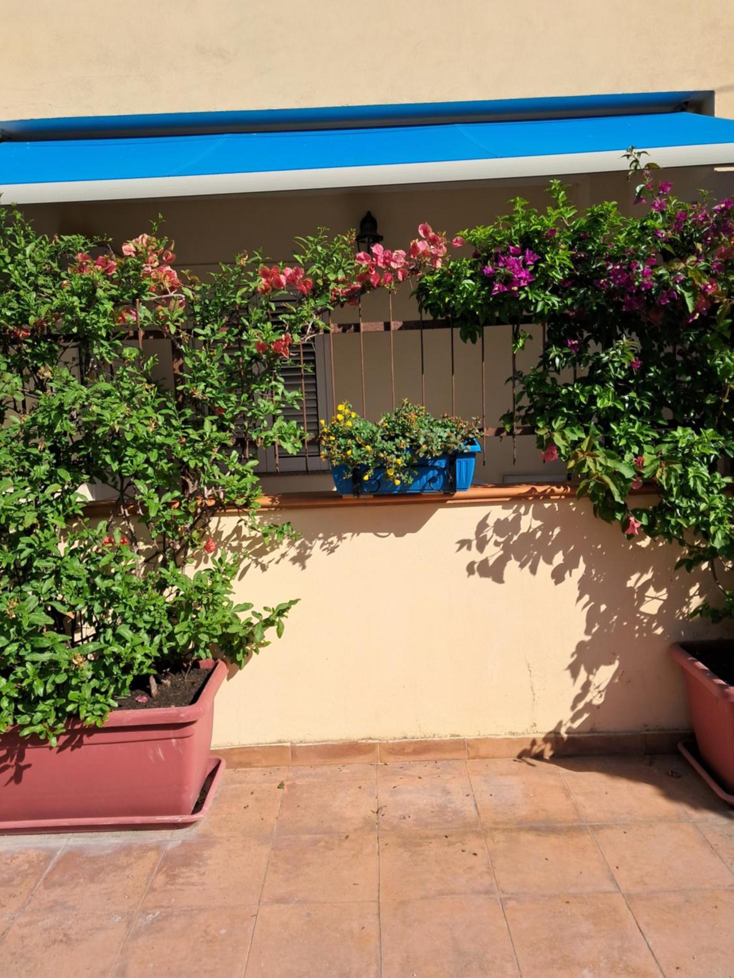 My Little House - Appartamento Con Patio E Parcheggio Privato A 5 Minuti Dalla Spiaggia E Dal Centro Тропеа Екстериор снимка